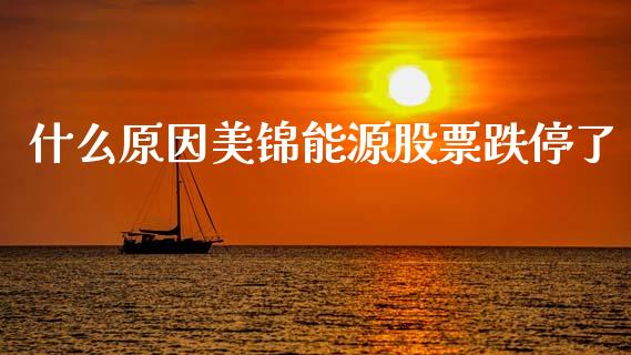 什么原因美锦能源股票跌停了_https://www.qmgjg.com_港股恒生指数_第1张