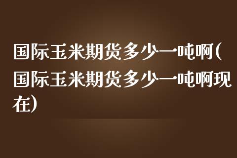 国际玉米期货多少一吨啊(国际玉米期货多少一吨啊现在)_https://www.qmgjg.com_恒生指数期货_第1张