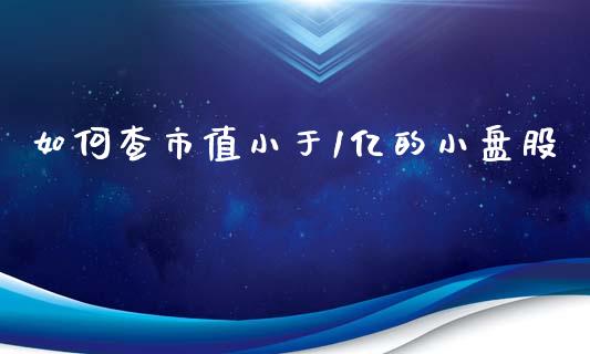 如何查市值小于1亿的小盘股_https://www.qmgjg.com_恒生指数期货_第1张