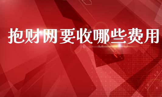 抱财网要收哪些费用_https://www.qmgjg.com_港股恒生指数_第1张