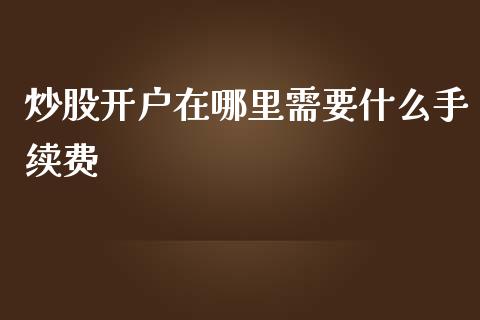 炒股开户在哪里需要什么手续费_https://www.qmgjg.com_恒生指数期货_第1张