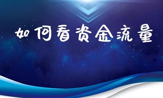 如何看资金流量_https://www.qmgjg.com_港股恒生指数_第1张