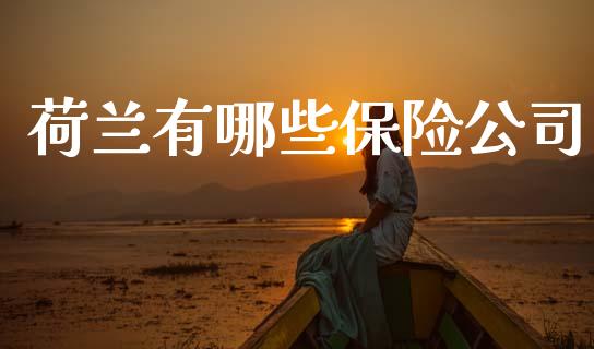 荷兰有哪些保险公司_https://www.qmgjg.com_港股恒生指数_第1张