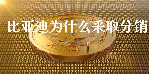 比亚迪为什么采取分销_https://www.qmgjg.com_港股恒生指数_第1张