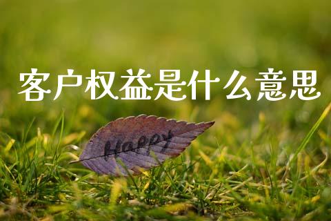 客户权益是什么意思_https://www.qmgjg.com_香港恒生指数_第1张