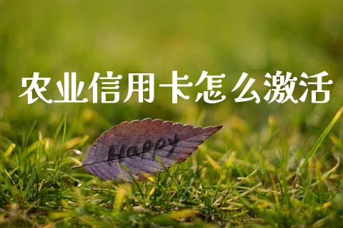 农业信用卡怎么激活_https://www.qmgjg.com_香港恒生指数_第1张