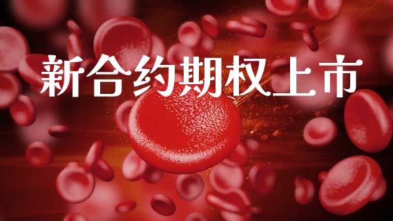 新合约期权上市_https://www.qmgjg.com_恒生指数是什么_第1张