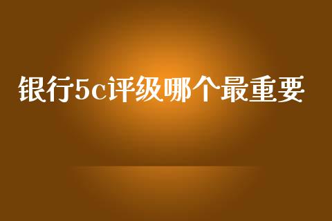 银行5c评级哪个最重要_https://www.qmgjg.com_恒生指数是什么_第1张
