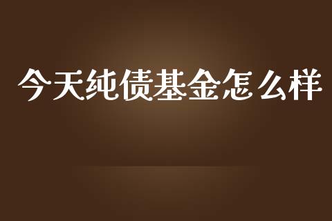 今天纯债基金怎么样_https://www.qmgjg.com_恒生指数期货_第1张
