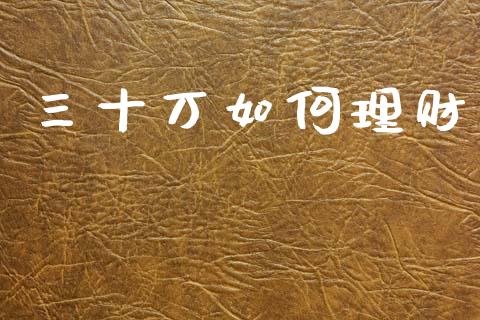 三十万如何理财_https://www.qmgjg.com_香港恒生指数_第1张