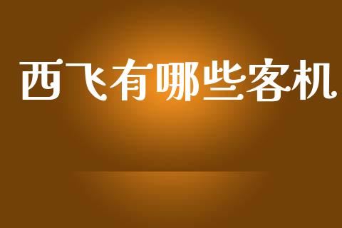 西飞有哪些客机_https://www.qmgjg.com_恒生指数是什么_第1张