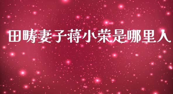 田畴妻子蒋小荣是哪里人_https://www.qmgjg.com_港股恒生指数_第1张