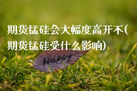 期货锰硅会大幅度高开不(期货锰硅受什么影响)_https://www.qmgjg.com_香港恒生指数_第1张
