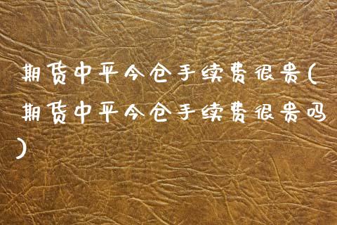 期货中平今仓手续费很贵(期货中平今仓手续费很贵吗)_https://www.qmgjg.com_港股恒生指数_第1张