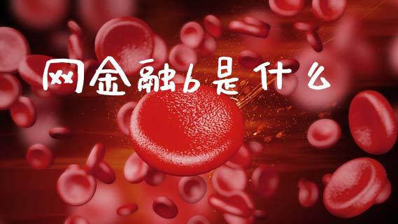 网金融b是什么_https://www.qmgjg.com_恒生指数期货_第1张
