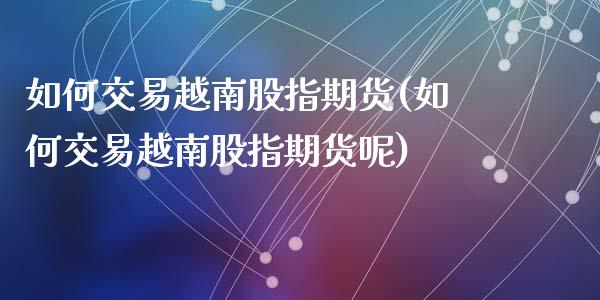 如何交易越南股指期货(如何交易越南股指期货呢)_https://www.qmgjg.com_恒生指数是什么_第1张