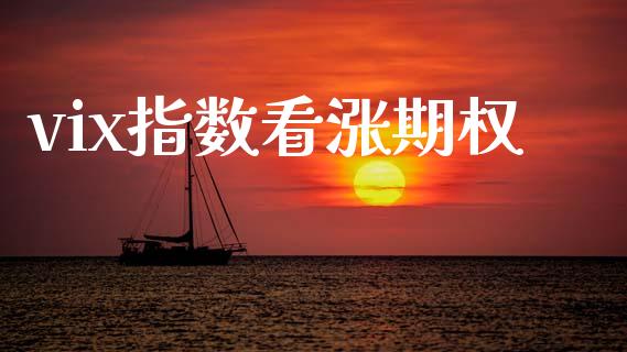 vix指数看涨期权_https://www.qmgjg.com_恒生指数期货_第1张