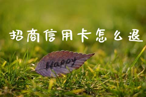 招商信用卡怎么退_https://www.qmgjg.com_恒生指数是什么_第1张