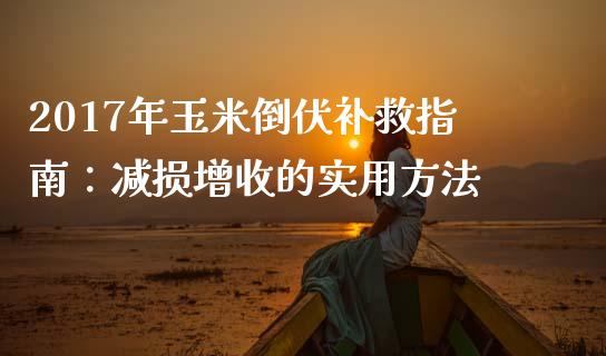2017年玉米倒伏补救指南：减损增收的实用方法_https://www.qmgjg.com_香港恒生指数_第1张