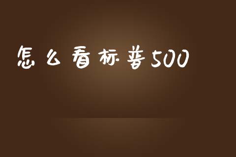 怎么看标普500_https://www.qmgjg.com_恒生指数是什么_第1张