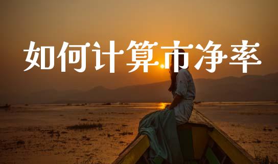 如何计算市净率_https://www.qmgjg.com_港股恒生指数_第1张