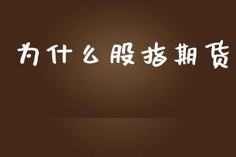 为什么股指期货_https://www.qmgjg.com_港股恒生指数_第1张