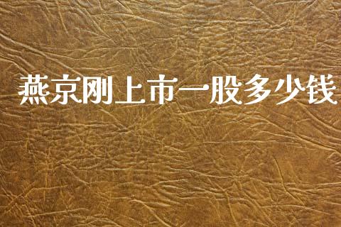 燕京刚上市一股多少钱_https://www.qmgjg.com_香港恒生指数_第1张