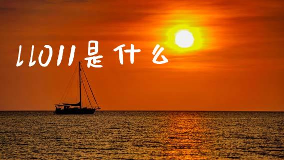 ll011是什么_https://www.qmgjg.com_恒生指数期货_第1张