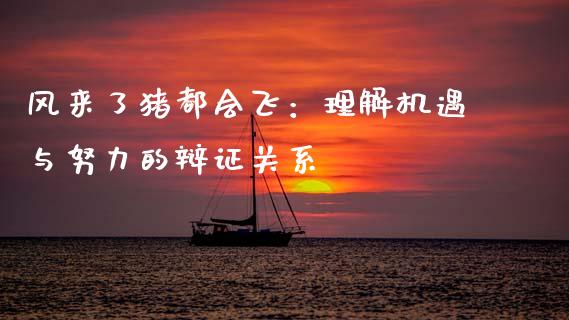 风来了猪都会飞：理解机遇与努力的辩证关系_https://www.qmgjg.com_香港恒生指数_第1张