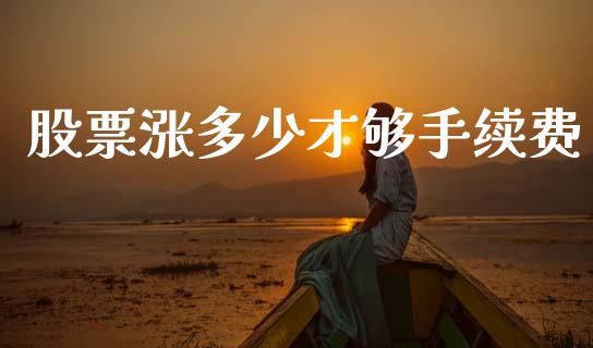 股票涨多少才够手续费_https://www.qmgjg.com_恒生指数期货_第1张
