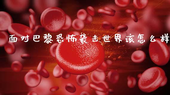 面对巴黎恐怖袭击世界该怎么样_https://www.qmgjg.com_恒生指数是什么_第1张