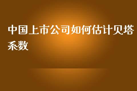 中国上市公司如何估计贝塔系数_https://www.qmgjg.com_恒生指数期货_第1张