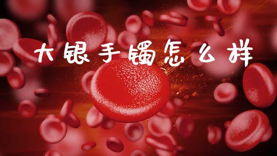 大银手镯怎么样_https://www.qmgjg.com_港股恒生指数_第1张