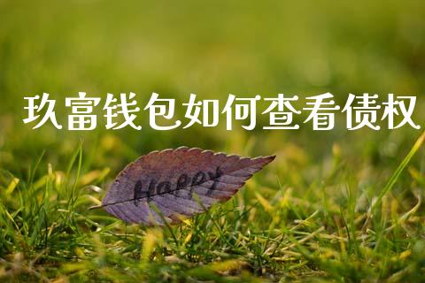 玖富钱包如何查看债权_https://www.qmgjg.com_港股恒生指数_第1张