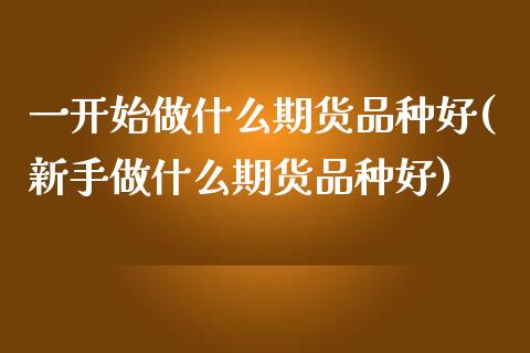 一开始做什么期货品种好(新手做什么期货品种好)_https://www.qmgjg.com_恒生指数是什么_第1张