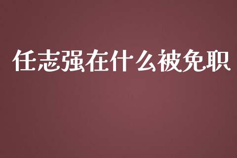 任志强在什么被免职_https://www.qmgjg.com_香港恒生指数_第1张