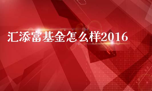 汇添富基金怎么样2016_https://www.qmgjg.com_恒生指数期货_第1张