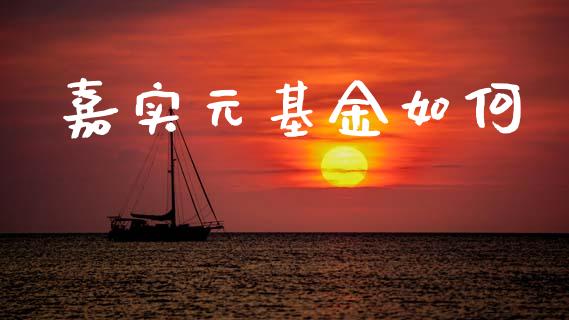 嘉实元基金如何_https://www.qmgjg.com_香港恒生指数_第1张