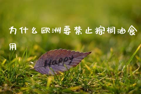 为什么欧洲要禁止棕榈油食用_https://www.qmgjg.com_恒生指数期货_第1张