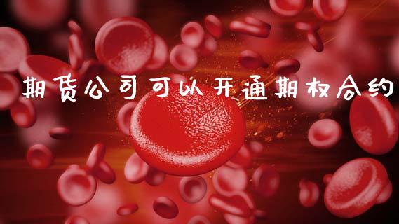 期货公司可以开通期权合约_https://www.qmgjg.com_恒生指数是什么_第1张