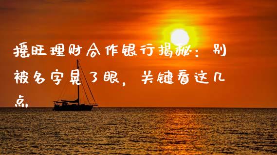 摇旺理财合作银行揭秘：别被名字晃了眼，关键看这几点_https://www.qmgjg.com_恒生指数是什么_第1张