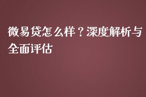 微易贷怎么样？深度解析与全面评估_https://www.qmgjg.com_港股恒生指数_第1张