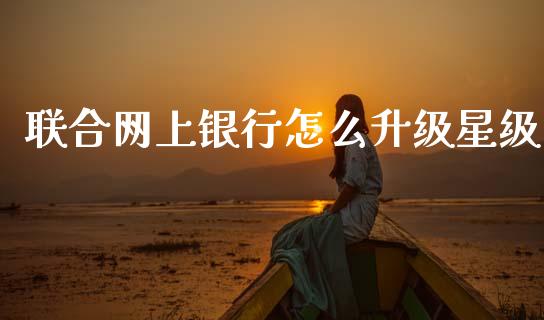 联合网上银行怎么升级星级_https://www.qmgjg.com_香港恒生指数_第1张