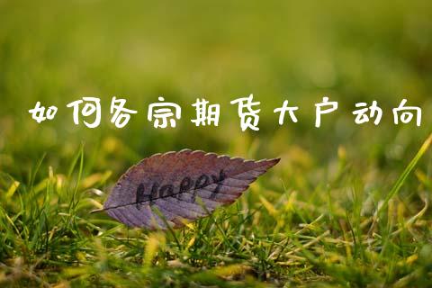 如何各宗期货大户动向_https://www.qmgjg.com_恒生指数是什么_第1张