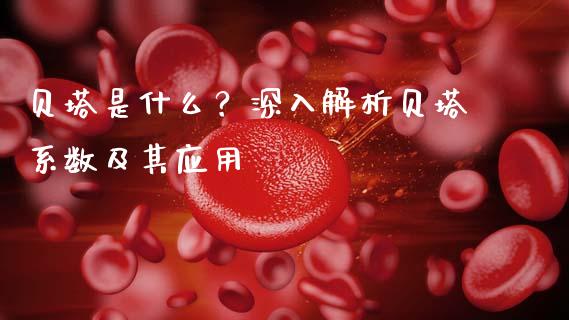 贝塔是什么？深入解析贝塔系数及其应用_https://www.qmgjg.com_恒生指数期货_第1张