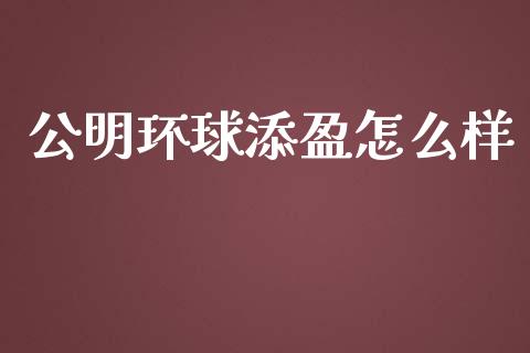 公明环球添盈怎么样_https://www.qmgjg.com_香港恒生指数_第1张