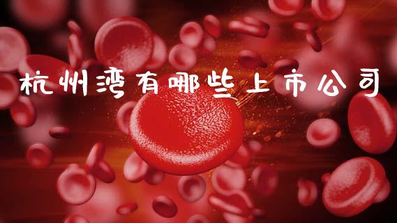 杭州湾有哪些上市公司_https://www.qmgjg.com_恒生指数是什么_第1张