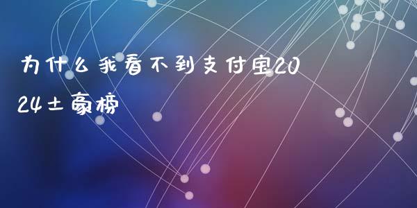 为什么我看不到支付宝2024土豪榜_https://www.qmgjg.com_香港恒生指数_第1张