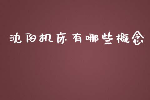 沈阳机床有哪些概念_https://www.qmgjg.com_港股恒生指数_第1张