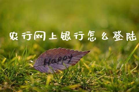 农行网上银行怎么登陆_https://www.qmgjg.com_恒生指数期货_第1张